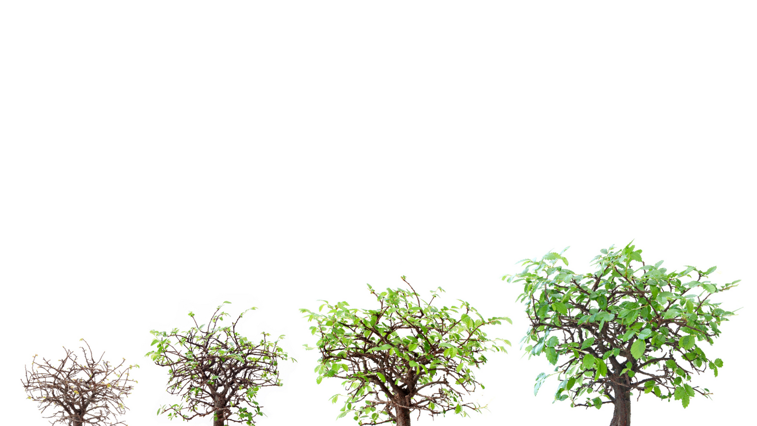 Quelle est l'espérance de vie d'un PC portable ?