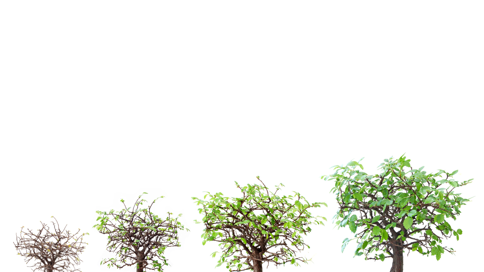 Quelle est l'espérance de vie d'un PC portable ?